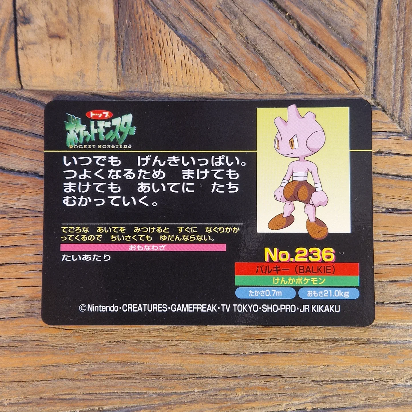 Topsun Tyrogue vs Shuckle — photo 2
