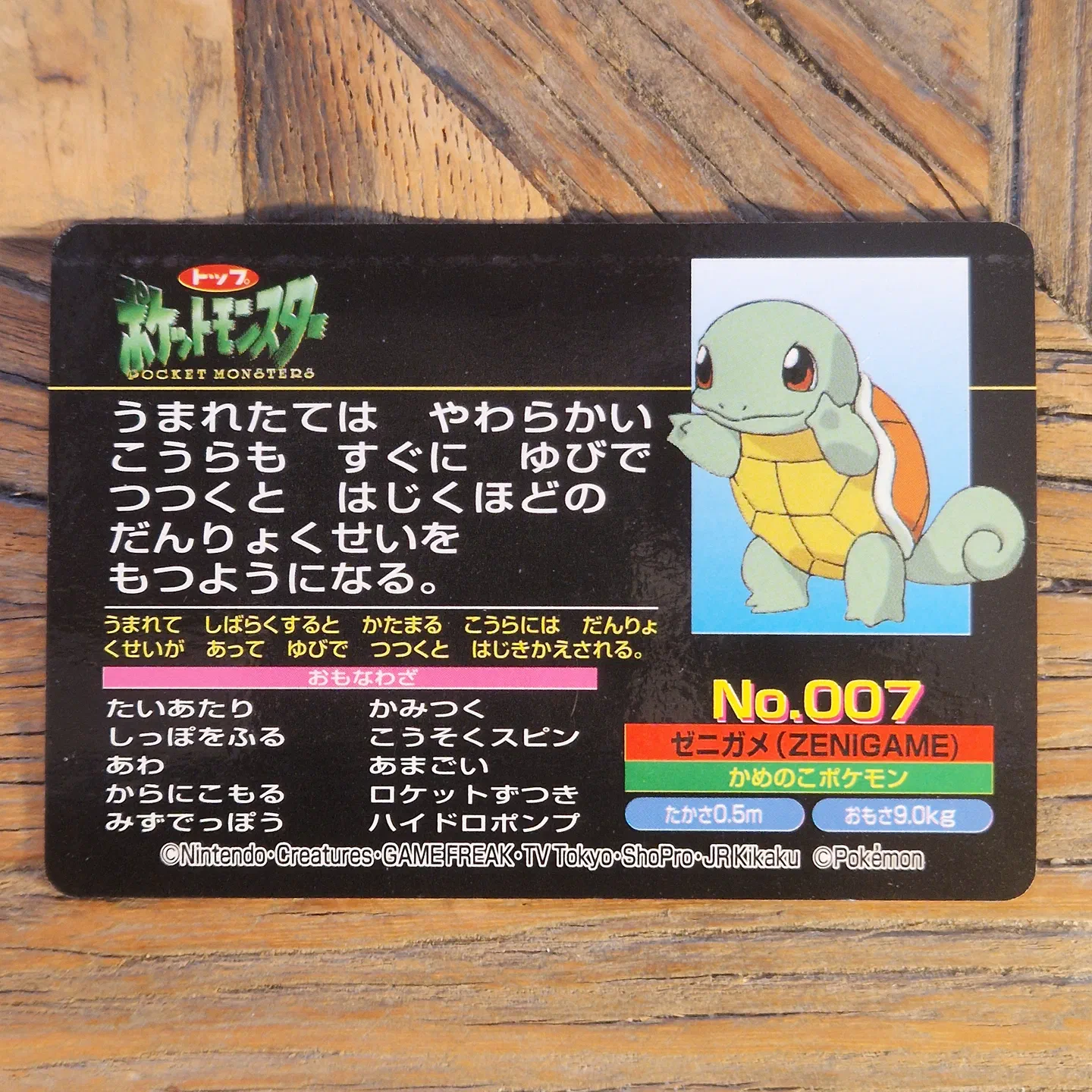 Topsun Squirtle vs Shuckle — photo 2
