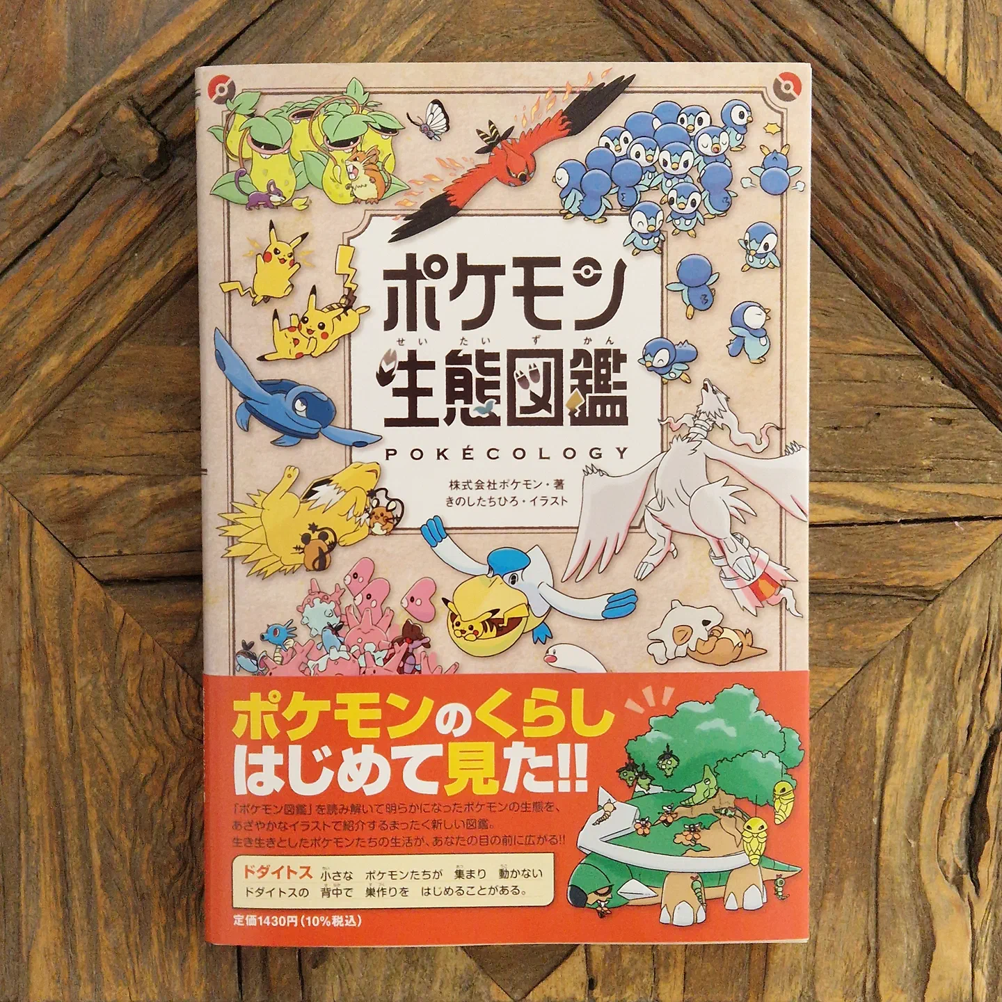 Pokécology — photo 2