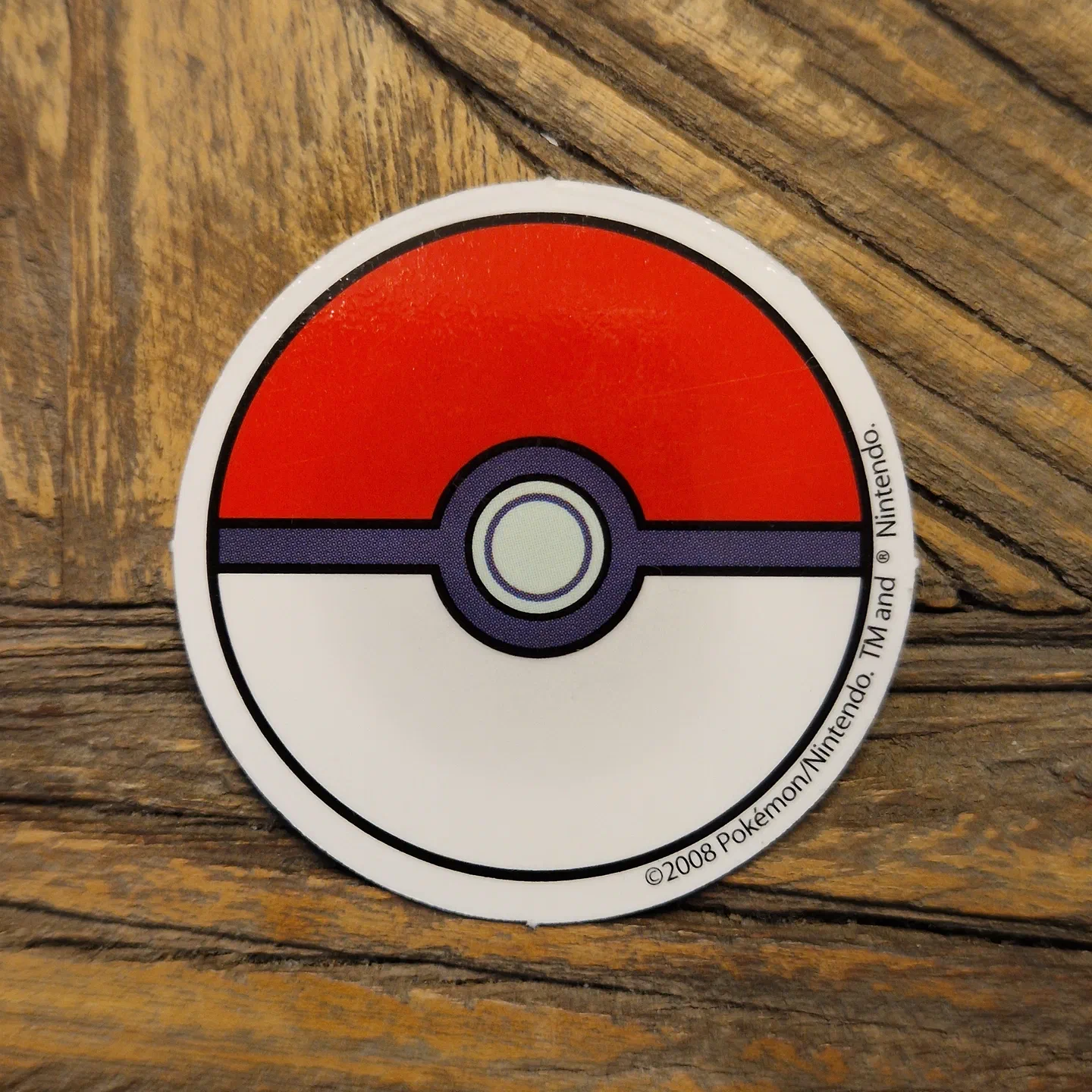 Pokemon Champion Island 2008 — photo 2