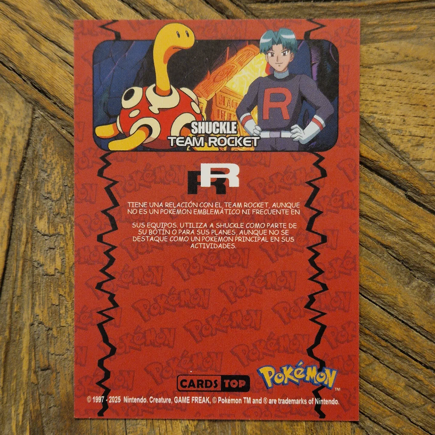 Team Rocket Shuckle — photo 2